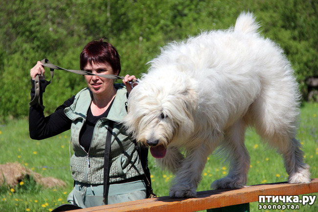 ���� 13: �� ��������