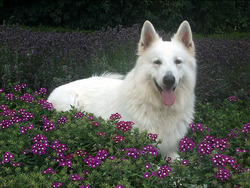 ���� 14: �� ��������