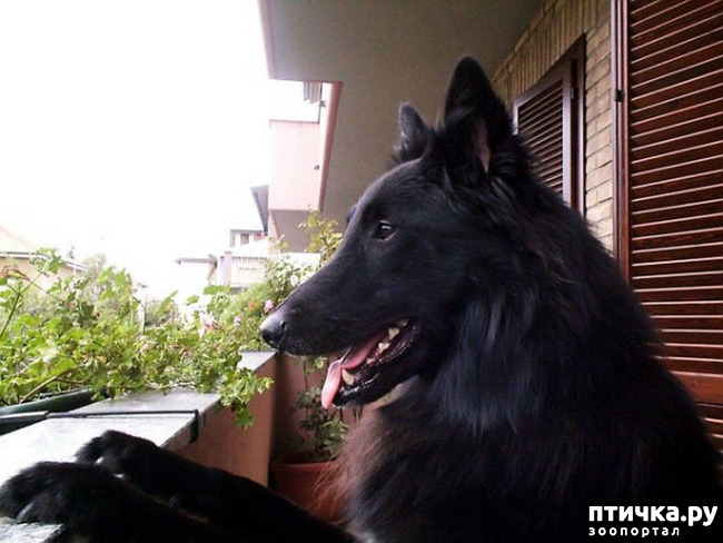 ���� 16: �� ��������