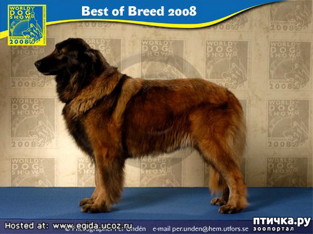 ���� 17: �� ��������