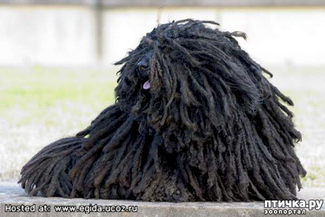 ���� 18: �� ��������