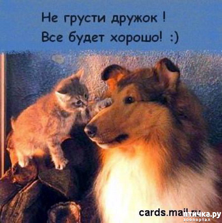 ���� 19: �� ��������