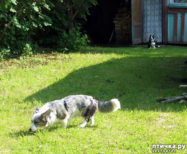 ���� 5: ���� � �������