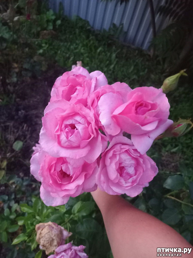 ���� 8: ������ �����