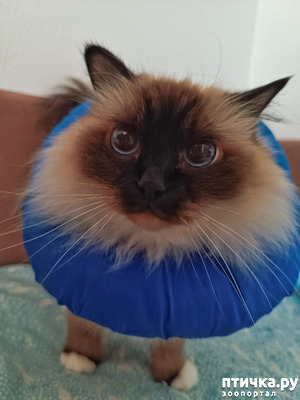 ����: ���� � ���, ��� ������ ����� ������!
