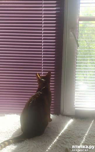 ���� 2: ���� � ����� ���� ��...
