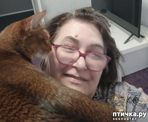 ���� 3: ���� � ����� ���� ��...