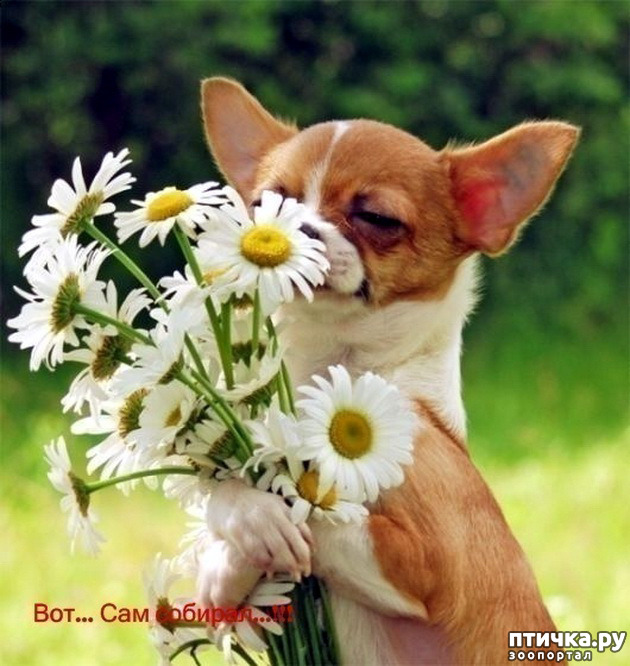 ���� 2: � �������.