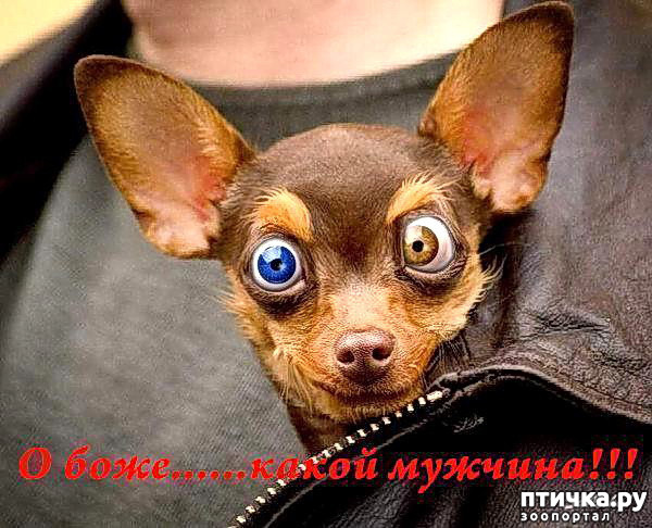 ���� 3: � �������.