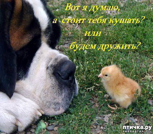 ���� 4: � �������.