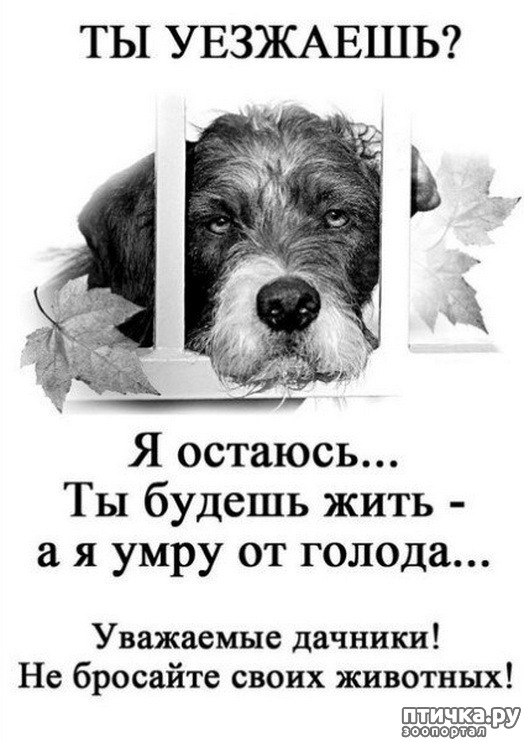 ���� 5: � �������.