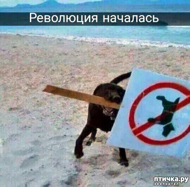 ���� 6: � �������.