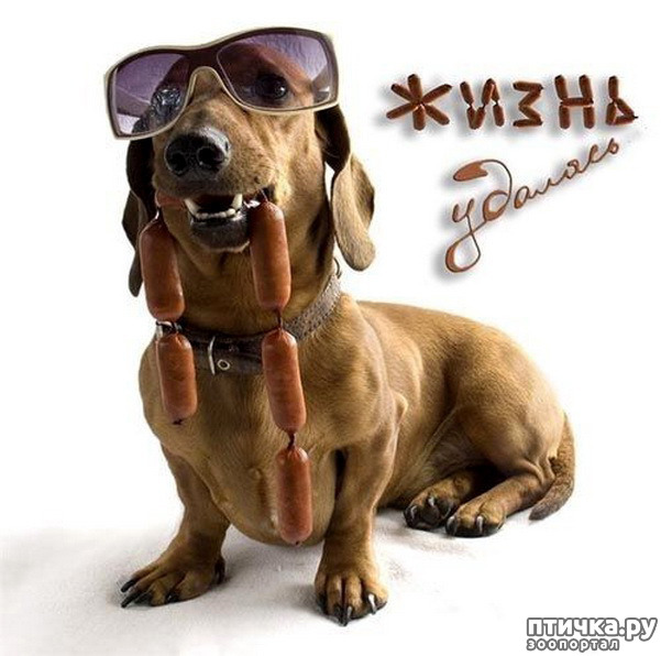 ���� 7: � �������.