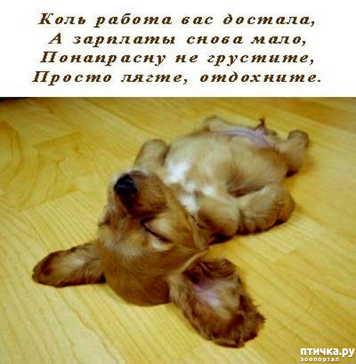 ���� 8: � �������.