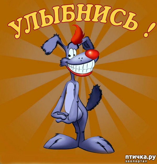 ���� 9: � �������.