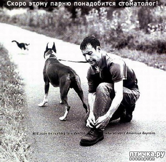 ���� 11: � �������.