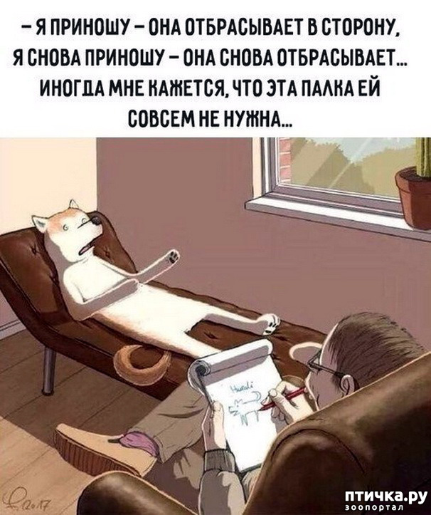 ���� 12: � �������.