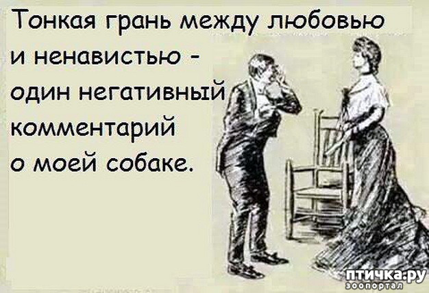 ���� 13: � �������.