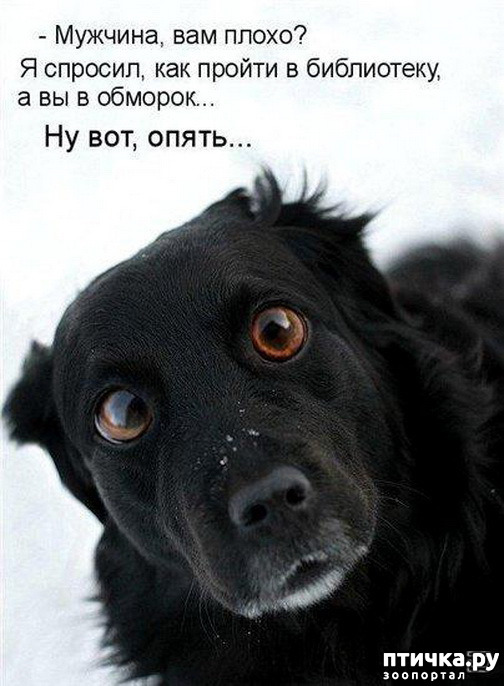 ���� 14: � �������.