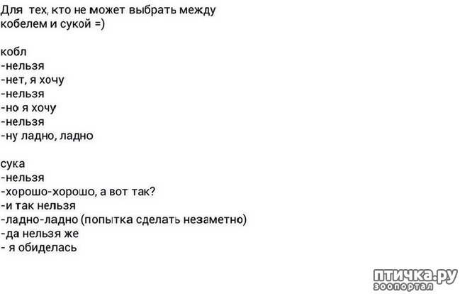 ���� 15: � �������.