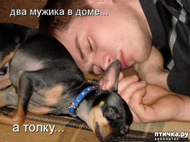 ���� 16: � �������.