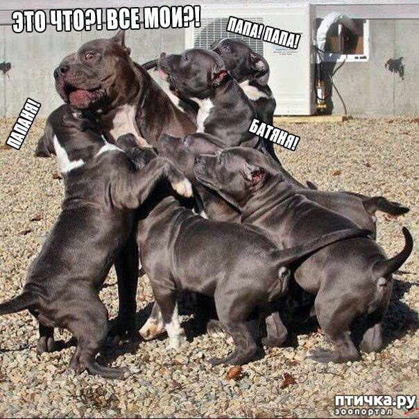 ���� 18: � �������.