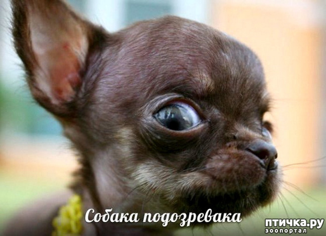 ���� 19: � �������.