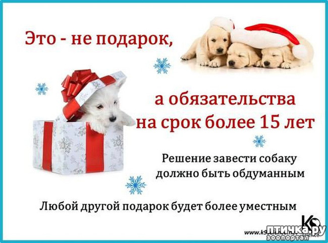 ���� 20: � �������.