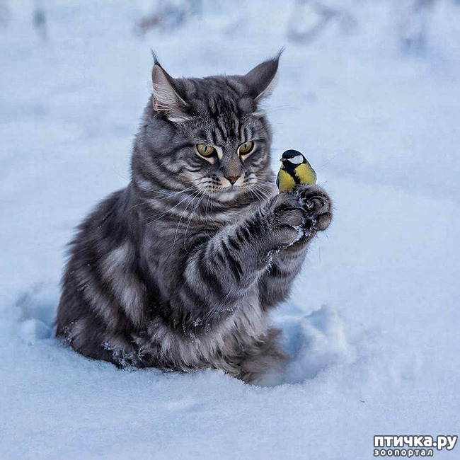 ���� 1: ���������!