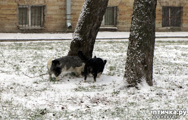 ���� 1: ����, ������, ����