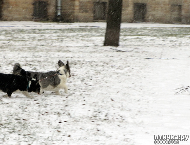 ���� 2: ����, ������, ����