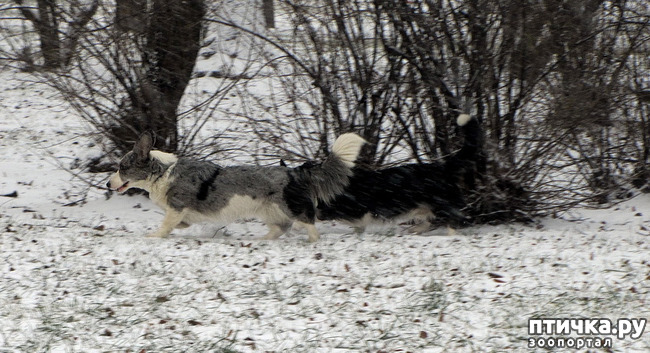 ���� 3: ����, ������, ����