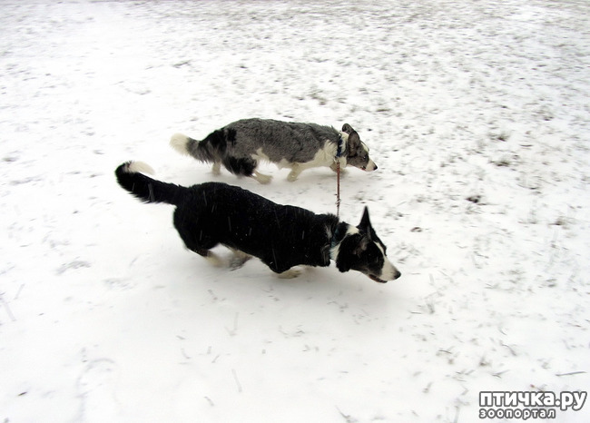 ���� 4: ����, ������, ����