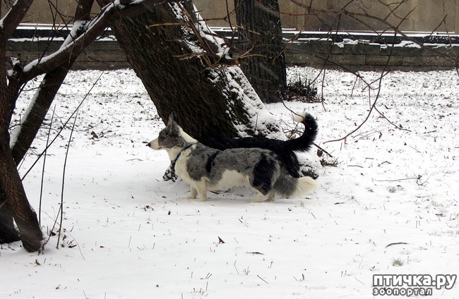 ���� 5: ����, ������, ����