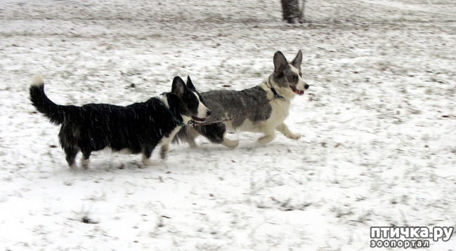 ���� 6: ����, ������, ����