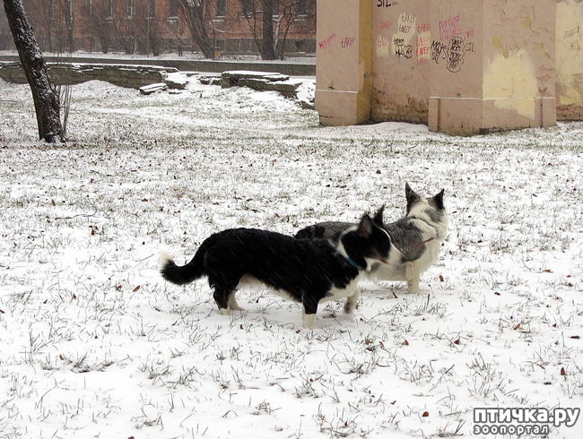 ���� 7: ����, ������, ����