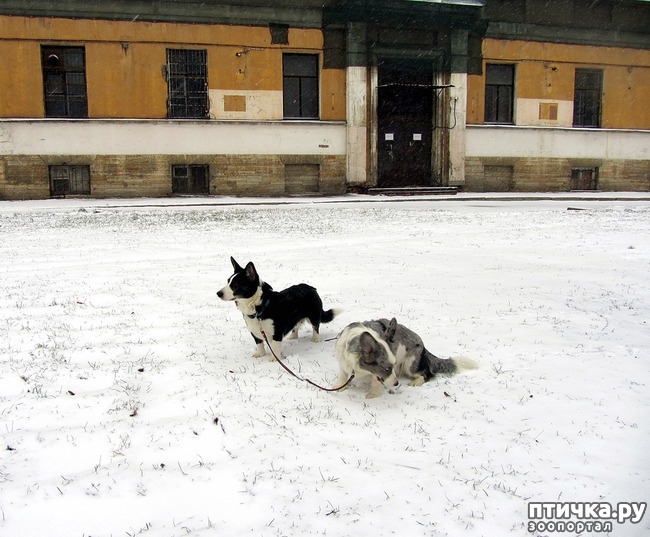 ���� 8: ����, ������, ����