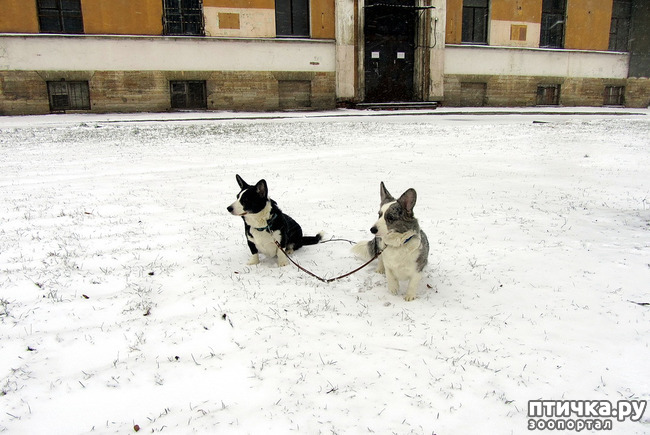 ���� 9: ����, ������, ����