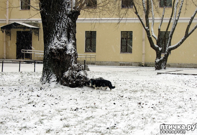 ���� 10: ����, ������, ����