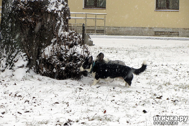 ���� 11: ����, ������, ����