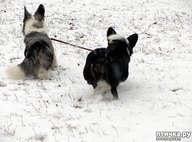 ���� 12: ����, ������, ����