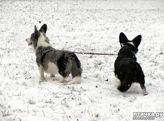 ���� 13: ����, ������, ����