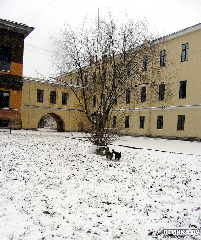 ���� 14: ����, ������, ����