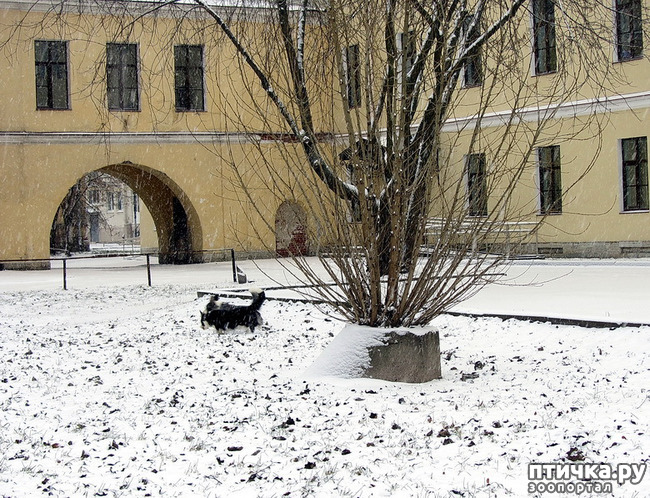 ���� 15: ����, ������, ����