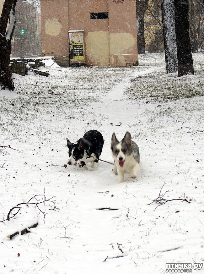 ���� 16: ����, ������, ����