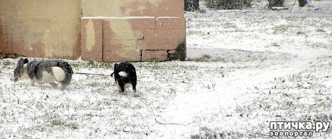 ���� 17: ����, ������, ����