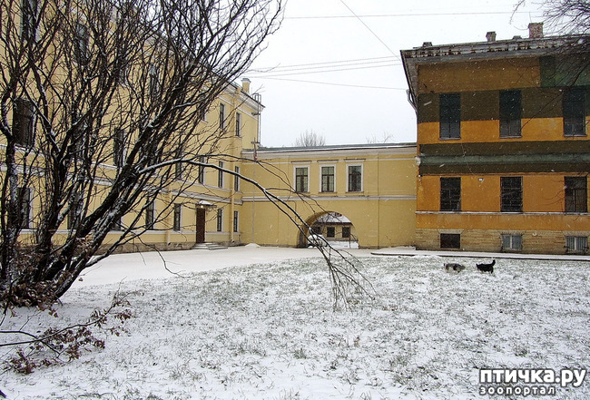 ���� 18: ����, ������, ����