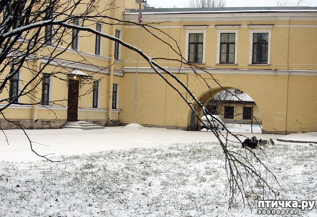 ���� 19: ����, ������, ����