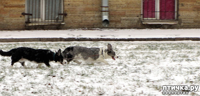 ���� 20: ����, ������, ����