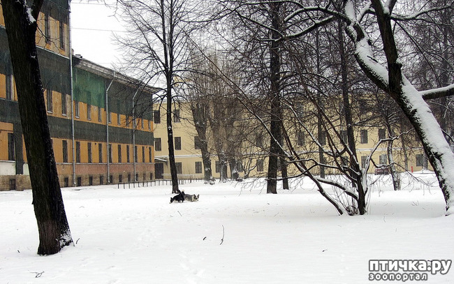 ���� 21: ����, ������, ����